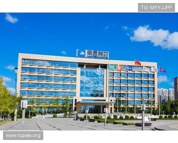 2026年k8凯发中国官网入口官方最新地址全面更新确保玩家安全顺畅登录体验