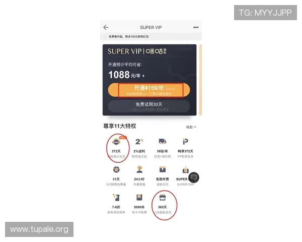 K8旗舰厅官网VIP会员权益详解，享受专属特权提升游戏体验的最佳途径