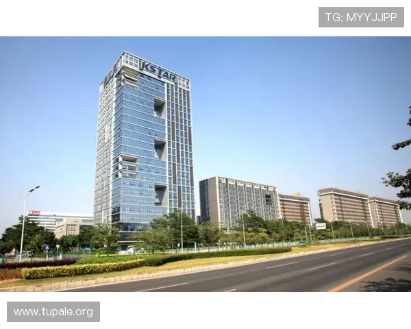 凯发k8国际首页登录网页版官方网页版：详细步骤解析确保用户顺利进入平台体验优质游戏服务