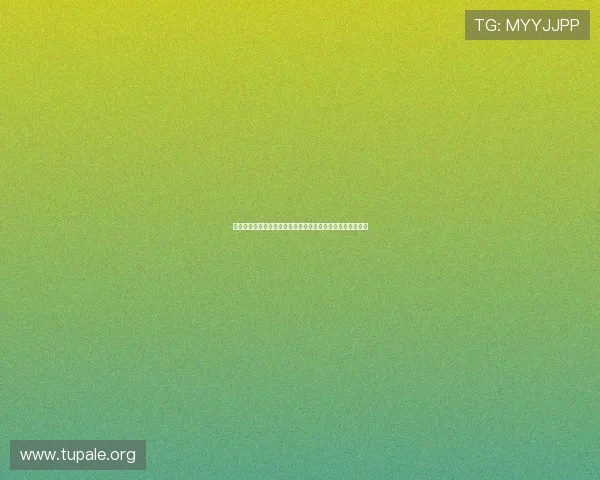 韩国与南非在世界杯小组赛中的比分统计与比赛数据详细分析